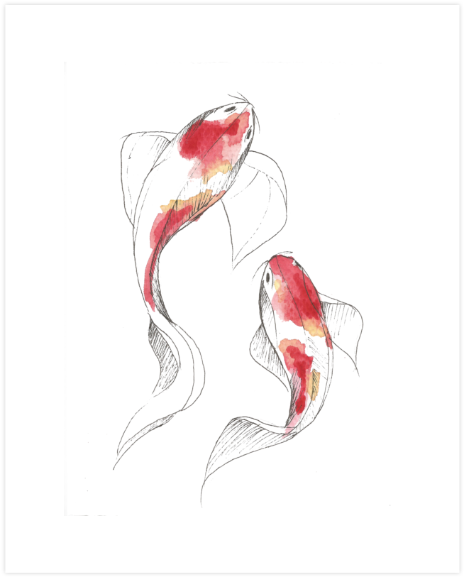Koi Fish Watercolor - Koi Fish Drawing Watercolor (740x900), Png Download