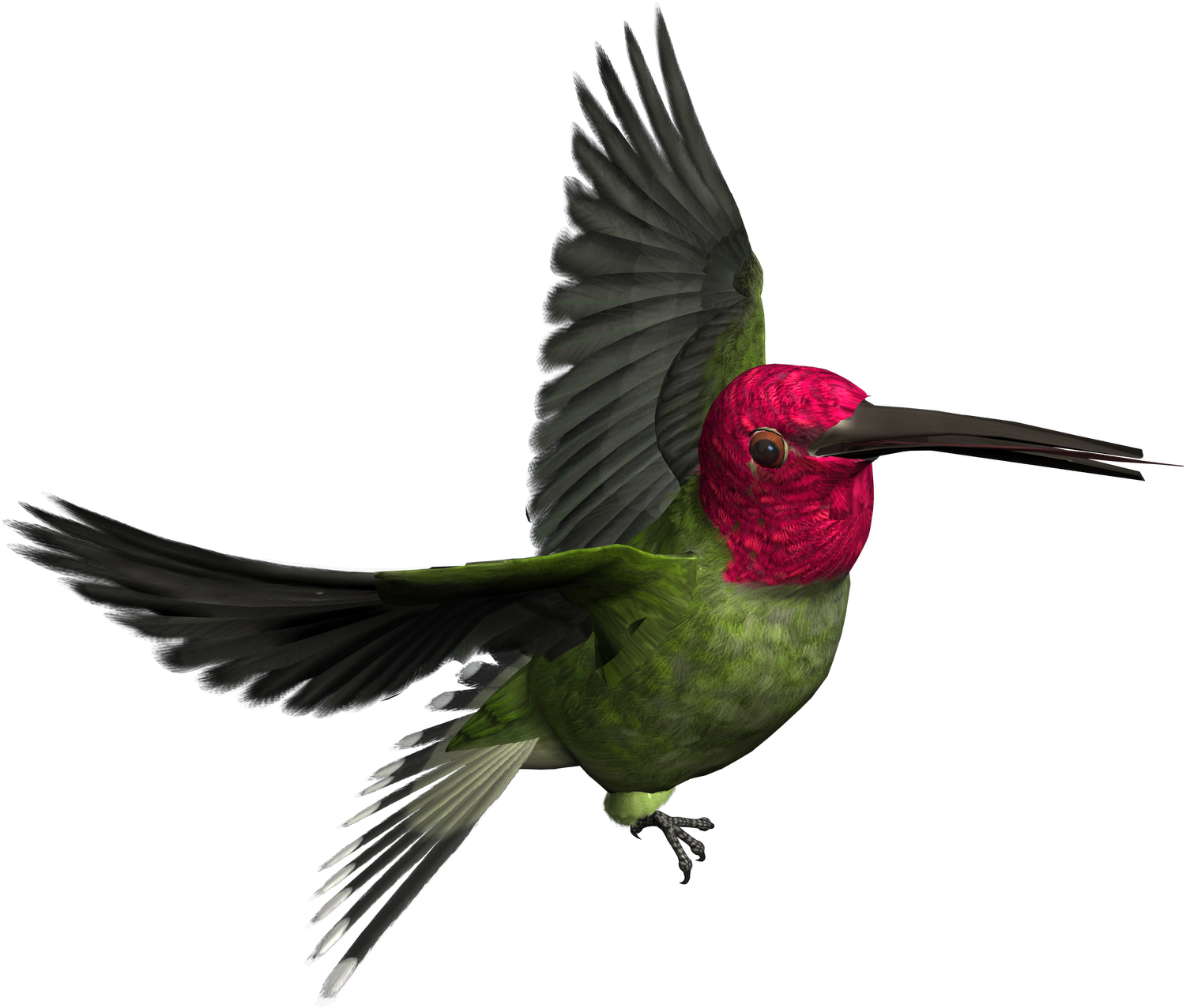 Free High Resolution Graphics And Clip Art - Woodpecker Png (1600x1600), Png Download