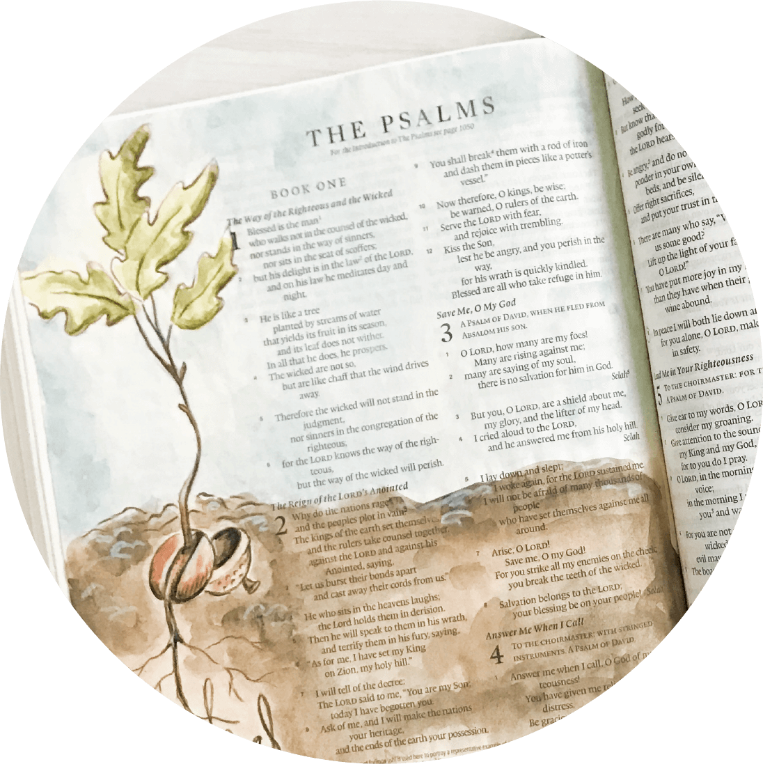 Create Beautiful Watercolor Art In Your Bible With - Bible (1096x1097), Png Download