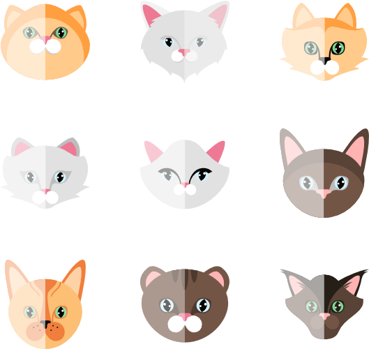 Cat Collection - Cat (600x564), Png Download