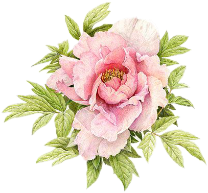Replace Ugly Scar With Beauty - Pretty Floweres (432x432), Png Download