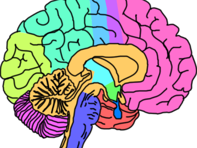 Brain Clipart Rock - Mental Health Clipart (640x480), Png Download