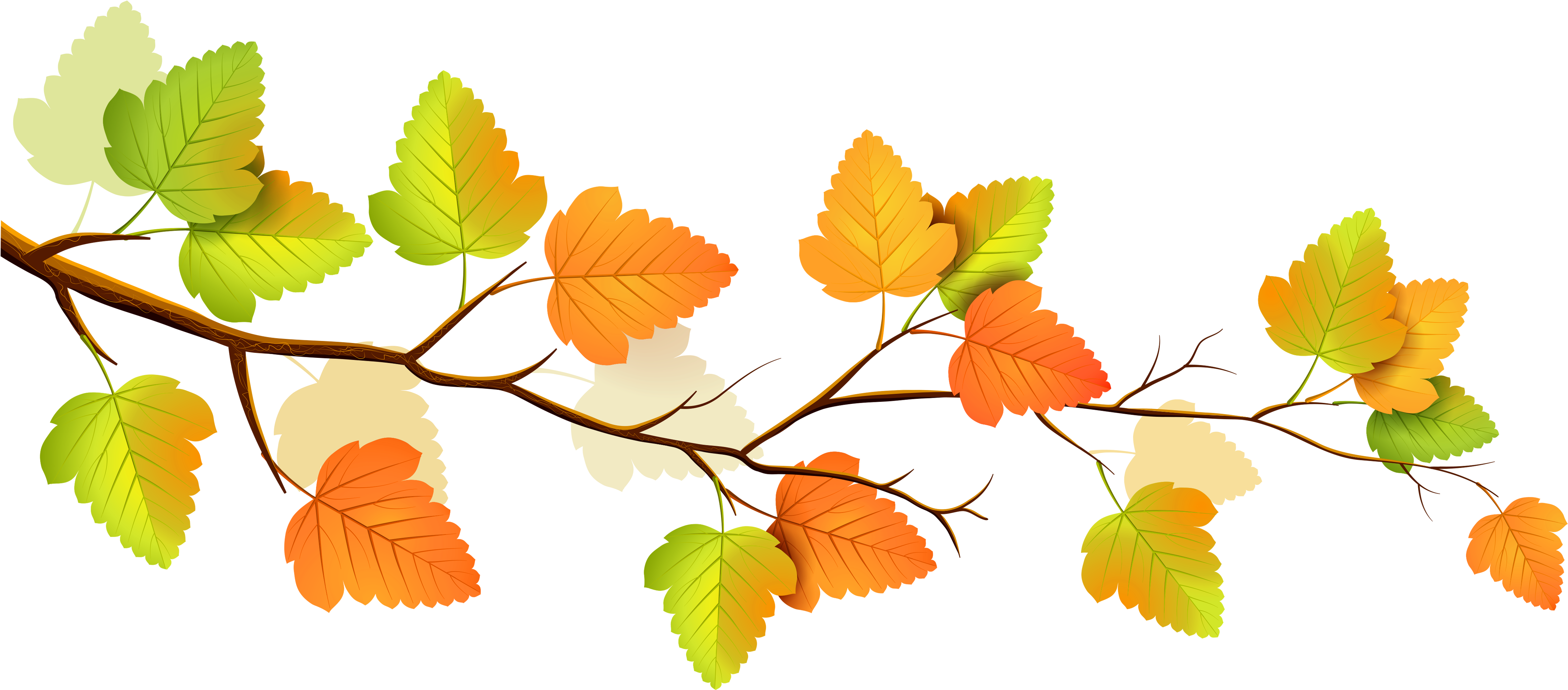 Fall Branch Decor Png Clipart - Autumn Png (5000x2261), Png Download