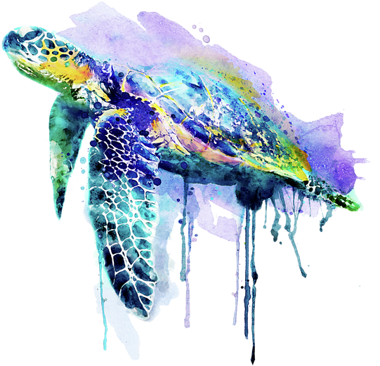 Bleed Area May Not Be Visible - Watercolor Turtle (600x600), Png Download