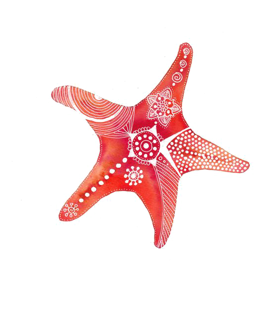 Drawing Painting Shopping Clip Art - Watercolor Starfish Png (564x777), Png Download