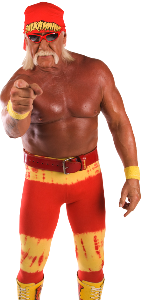 Hulk Hogan Png Clipart - Hulk Hogan Png (480x1024), Png Download