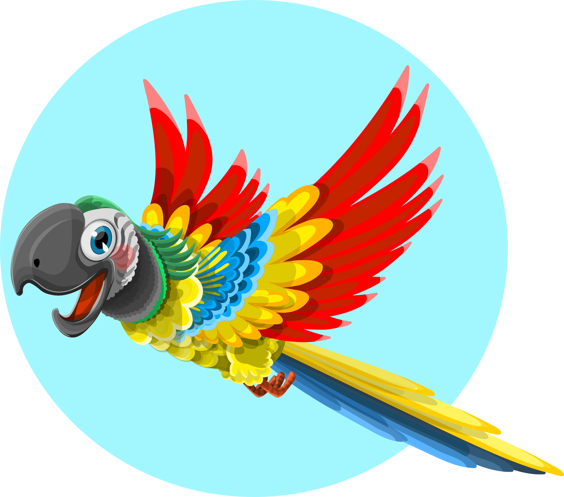Macaw Clipart Pet Bird - Graphic Parrot (800x704), Png Download