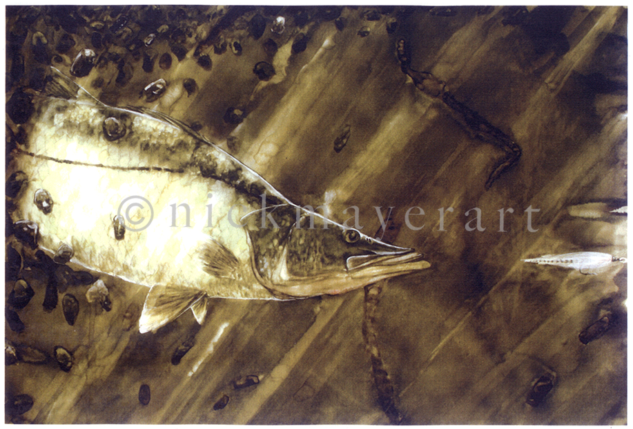 Snook And Deceiver Original Watercolor Painting - Watercolor Painting (1321x1103), Png Download