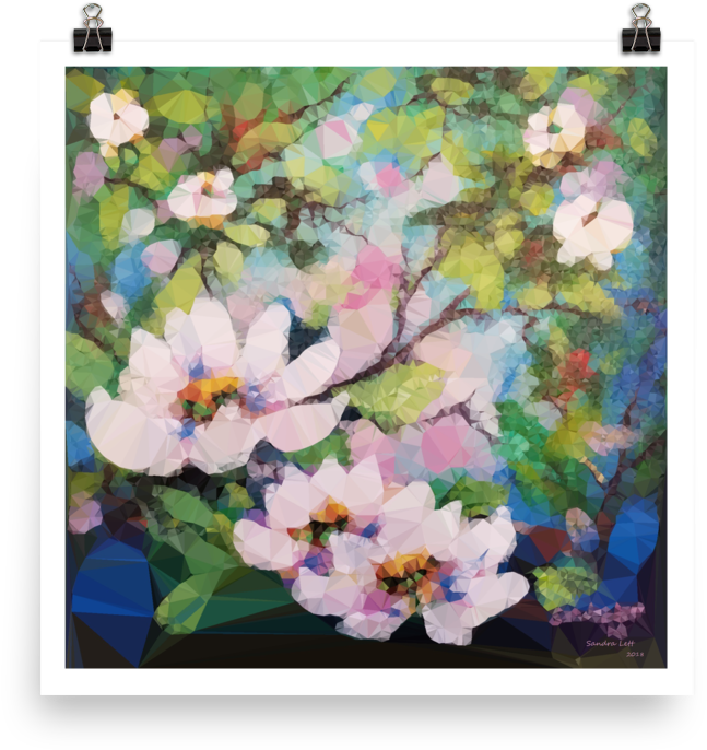 Beauty Blooms, Print Enhance Matte Paper - Blossom Beauty (1000x1000), Png Download