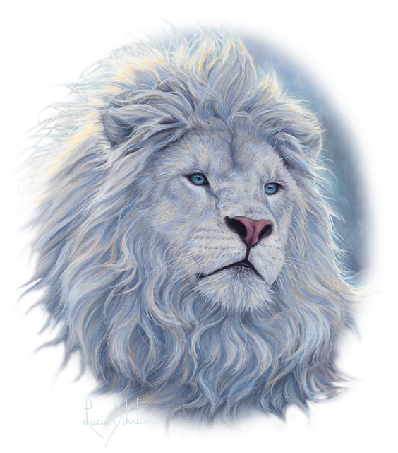 White Lion Png - Techinal Diy 5d Diamonds Embroidery White Lion Round (563x700), Png Download