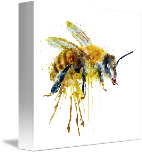 "watercolor Bee" By Marian Voicu - Bee Transparent Watercolor (606x650), Png Download