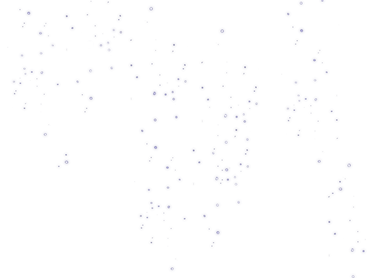 222405 Front Grass 02 Oct 2018 - Monochrome (1280x960), Png Download