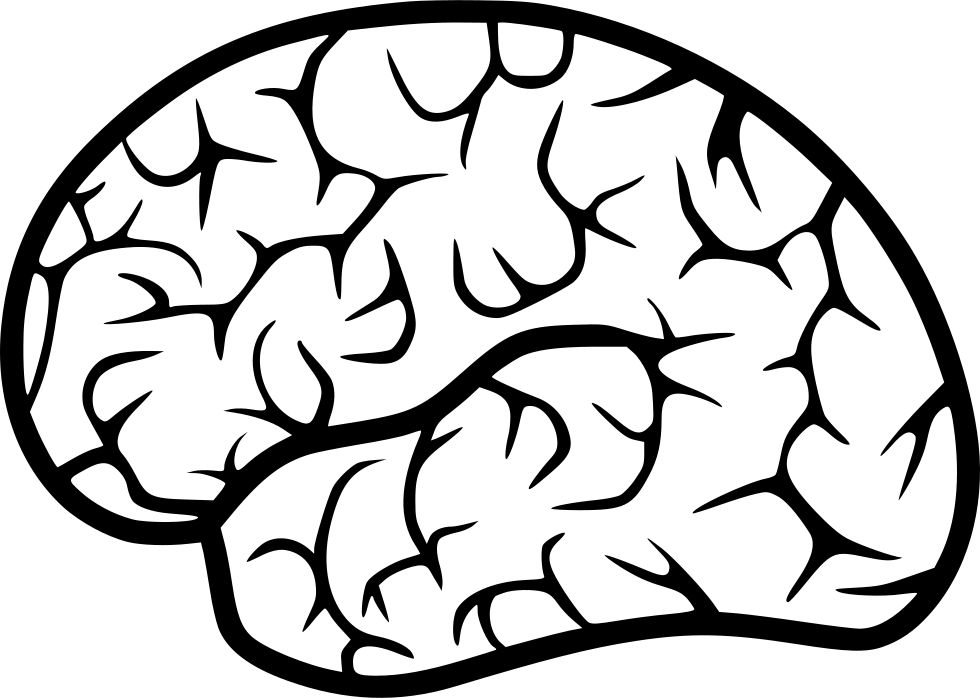 Human Brain Comments - Portable Network Graphics (980x698), Png Download