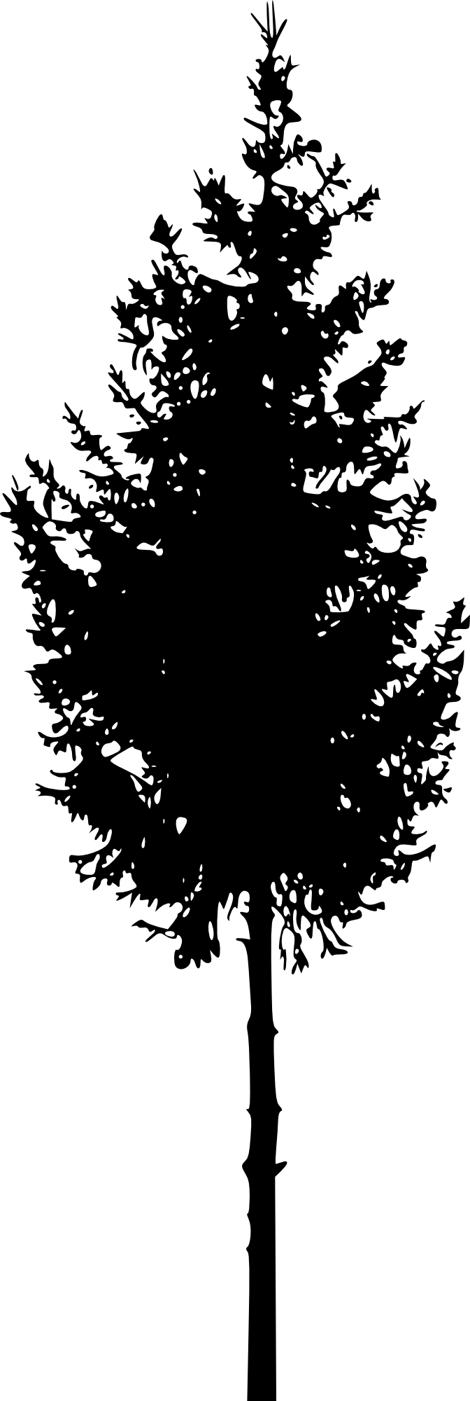Free Download - Portable Network Graphics (672x2000), Png Download