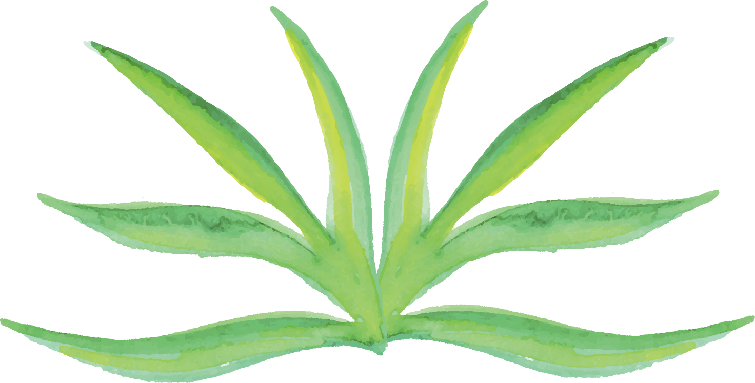 Clip Freeuse Creative Flowers Watercolour Painting - Watercolor Plants Png (1472x747), Png Download