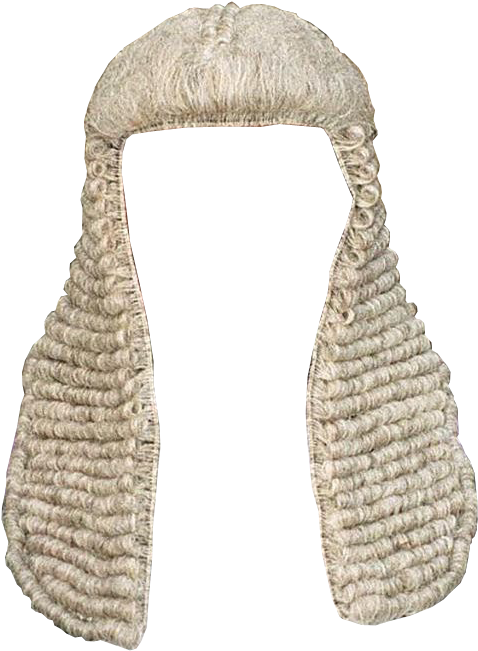 Judge Wig Png - Judges Wig (490x660), Png Download