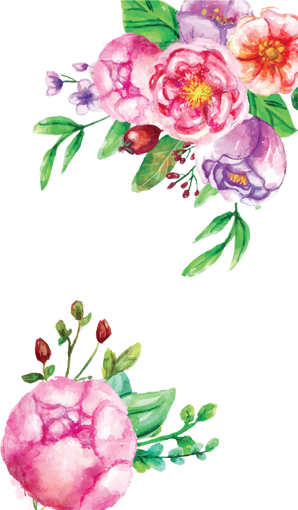 Watercolor Flowers - Pink Floral Watercolor Transparent (1039x1736), Png Download