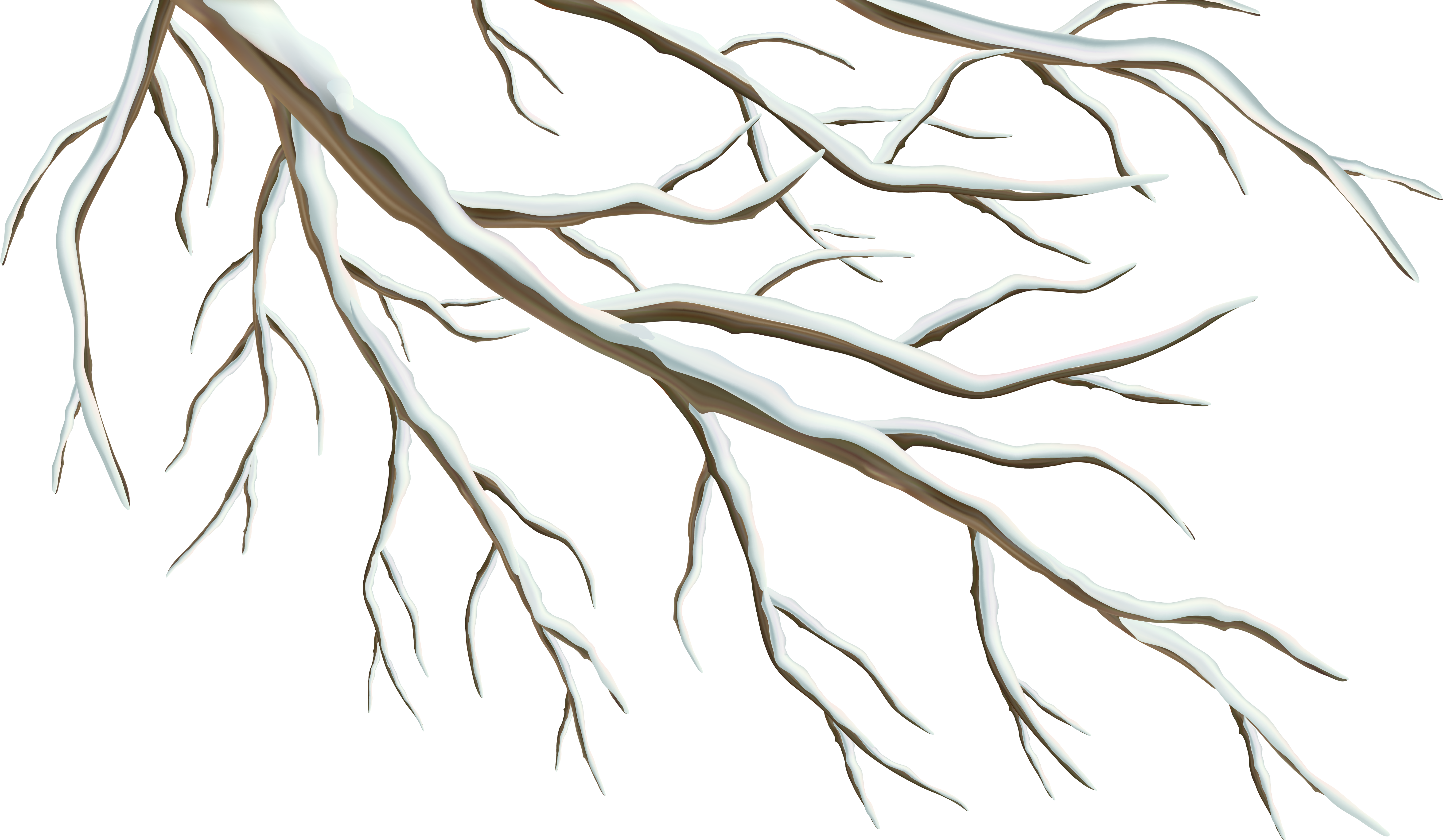 Jpg Library Stock Branch Transparent Winter - Winter Tree Branch Clip Art (6321x3791), Png Download