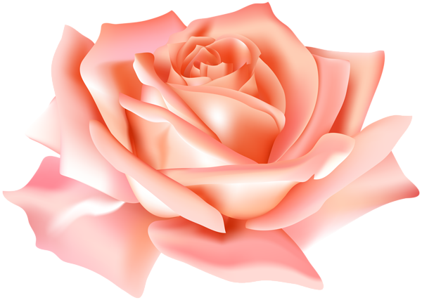 Peach Rosebud Floral Element Hand Painted In Watercolor - Peach Flower Png (600x427), Png Download