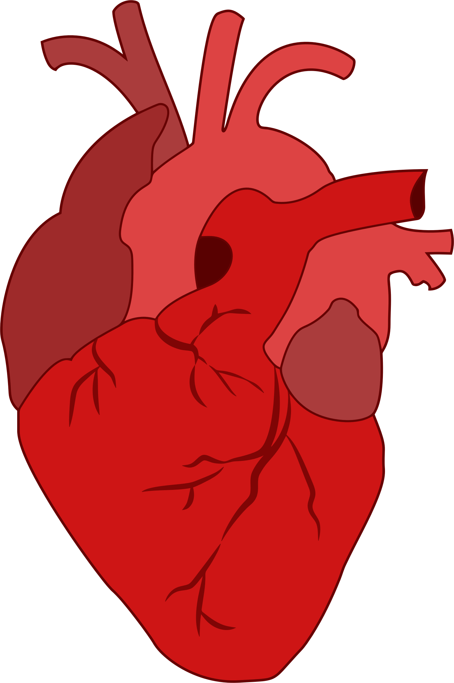 Blood And Bleeding In The Dream - Corazon Real Imagen Transparente (640x381), Png Download