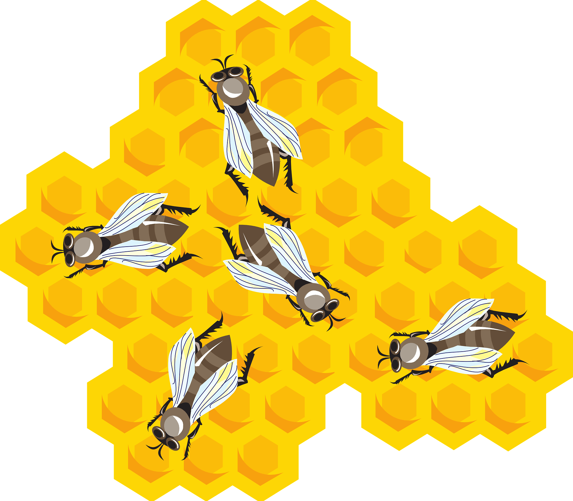 Honey, Cartoon, Hive, Wax, Bees, Combs, Bee, Comb - Bees Clipart Honeycomb (640x560), Png Download