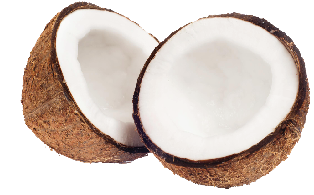 Health Benefits - Coconut Png (1022x1022), Png Download