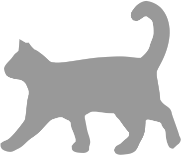 Kitten - Cat (1008x798), Png Download