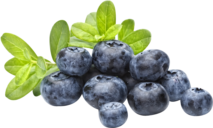 Emergency Essentials Freeze-dried Whole Blueberries (849x565), Png Download