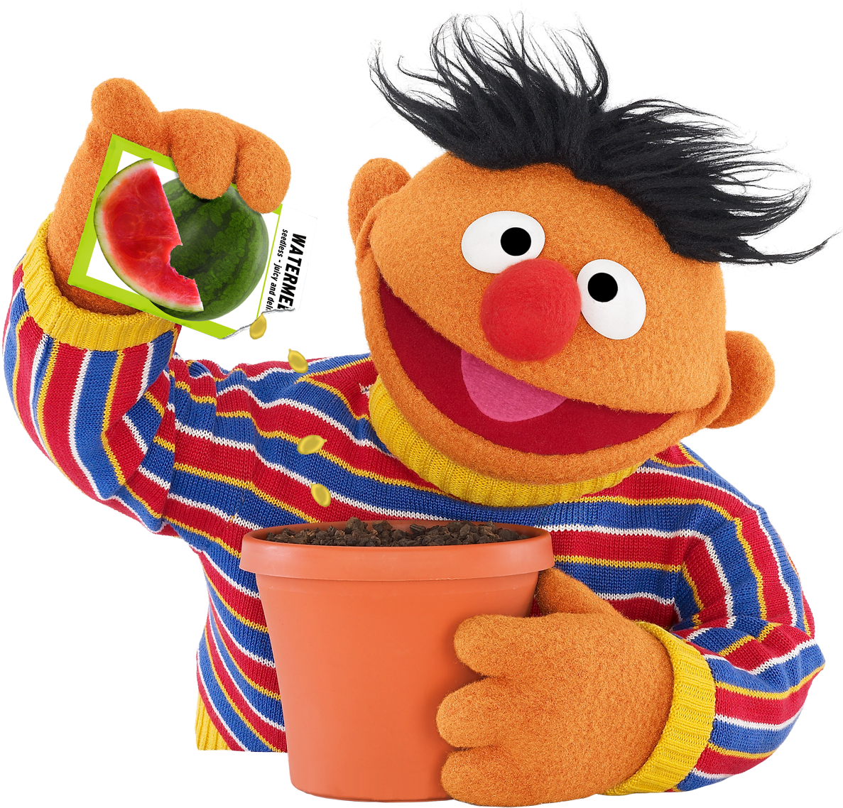 Ernie Plants Watermelon Seeds Sesame Workshop - Ernie Sesame Street Png (1200x1165), Png Download