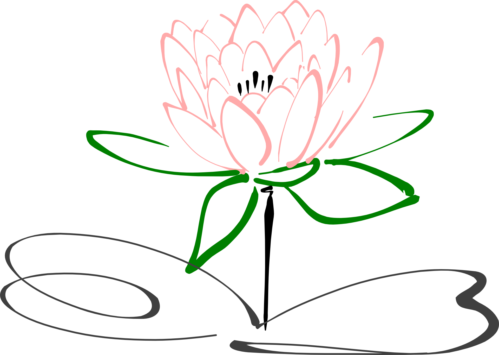 Image Black And White Stock Flower Clip Art Exquisite - Bunga Teratai Hitam Putih (1920x1364), Png Download