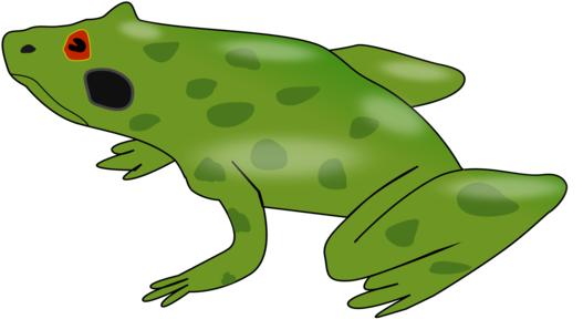 American Bullfrog Kermit The Frog Amphibian Australian - Custom Frog Shower Curtain (544x340), Png Download