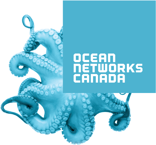 Colour - Ocean Networks Canada Logo (541x500), Png Download