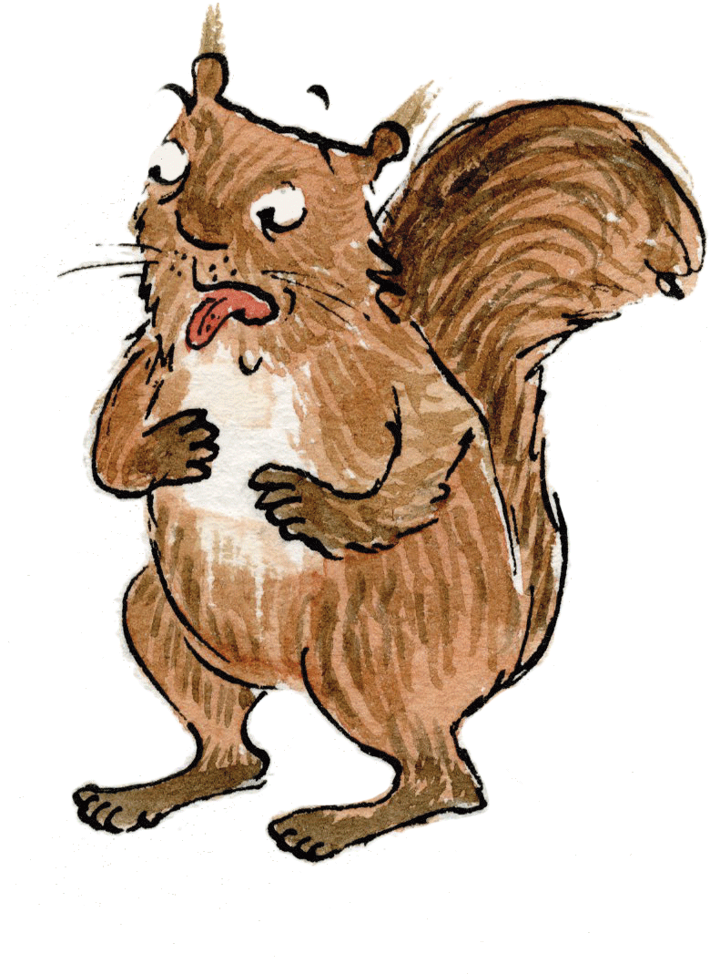 Download And Use Squirrel Png Clipart - Portable Network Graphics (828x1068), Png Download