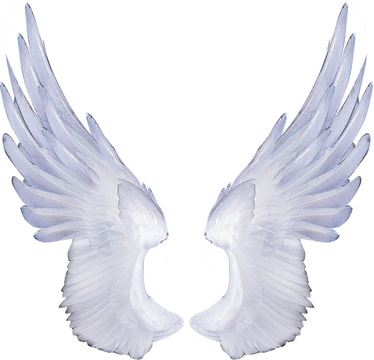 Free Angel Wings Transparent Background - Png Melek Kanatları (1200x1156), Png Download
