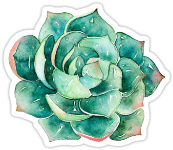 "watercolor Succulent Sticker " Stickers By Southprints - Water Color Succulent (375x360), Png Download