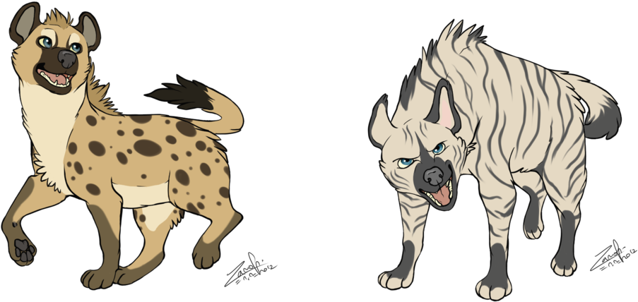 Hyena Drawing - Spotted And Striped Hyena (1024x540), Png Download