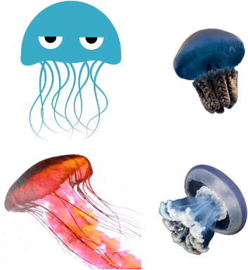 Jellyfish - Angry Blue Jellyfish Sticker (400x400), Png Download