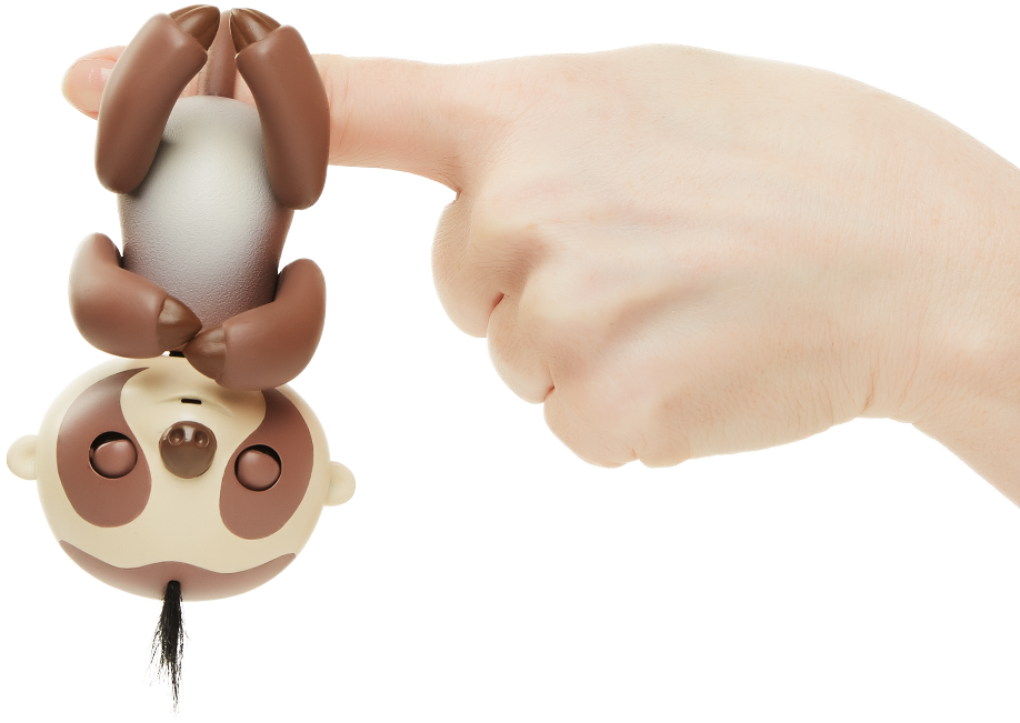 Kingsley The Sloth Png Sloth Animations - Fingerling Sloth (1000x1001), Png Download