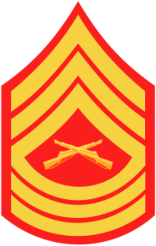 Bob Joins The Air Force And Then Ranked To Master Sargent - Sergeant Major Usmc Rank (305x480), Png Download