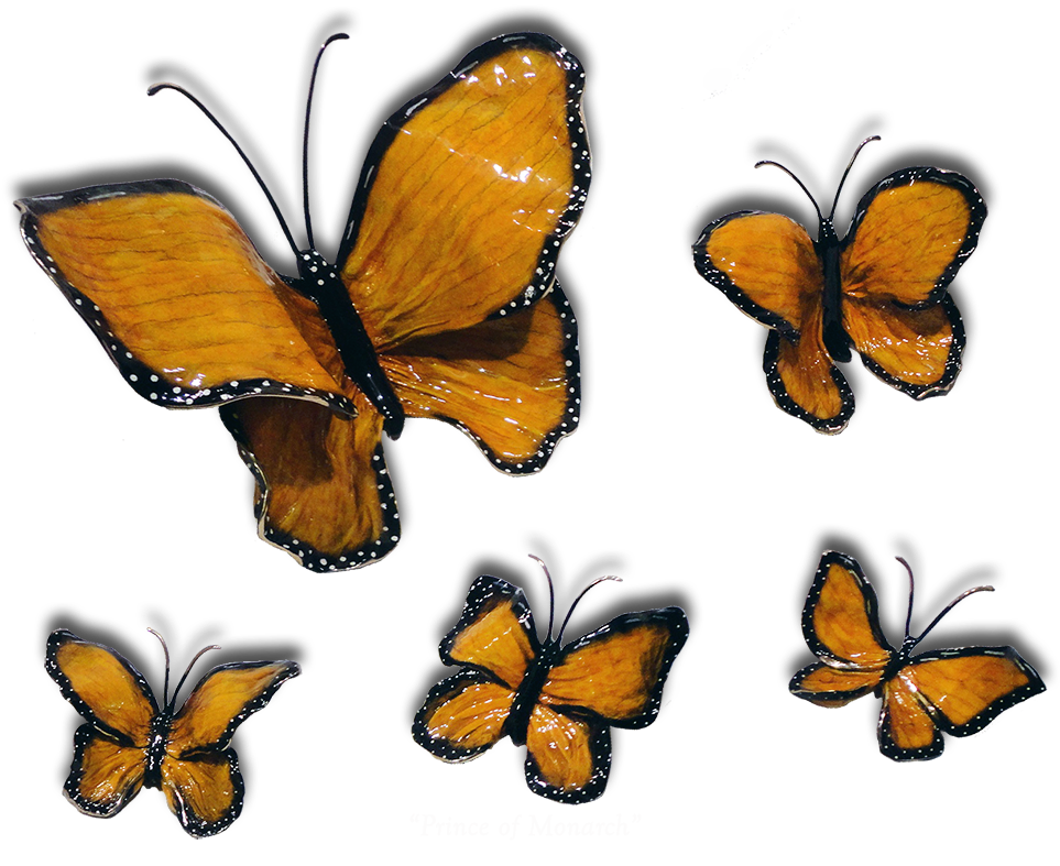 Ron & Sheila Ruiz Monarch Butterfly Exposures International - Monarch Butterfly (1024x851), Png Download