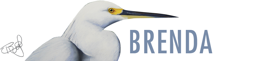Polar Bears - Breaking Through Bureaucracy: A New Vision For Managing (947x230), Png Download