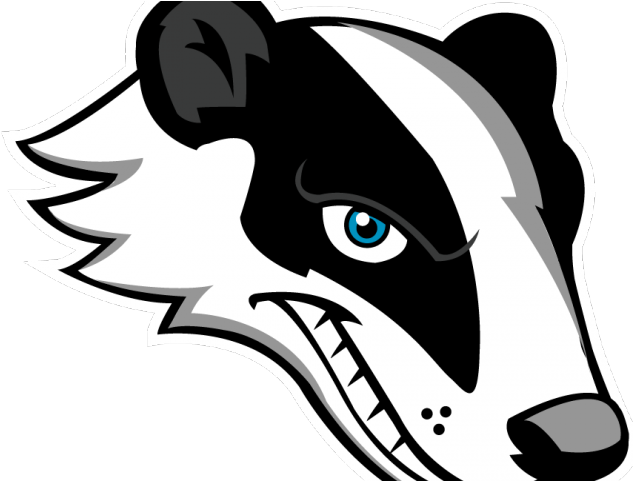 Honey Badger Clipart - Badger Clip Art (640x480), Png Download