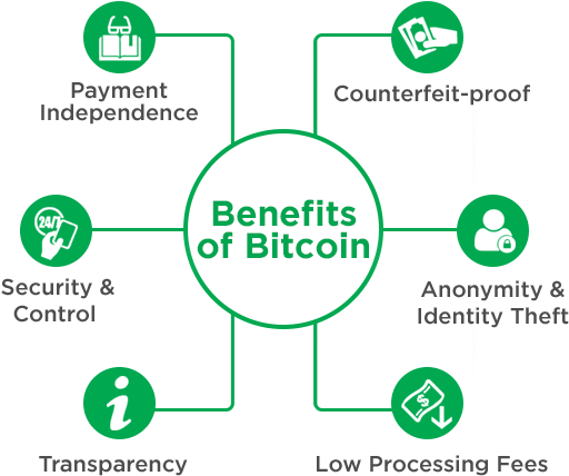 Bitcoin - Bitcoin Introduction (521x440), Png Download