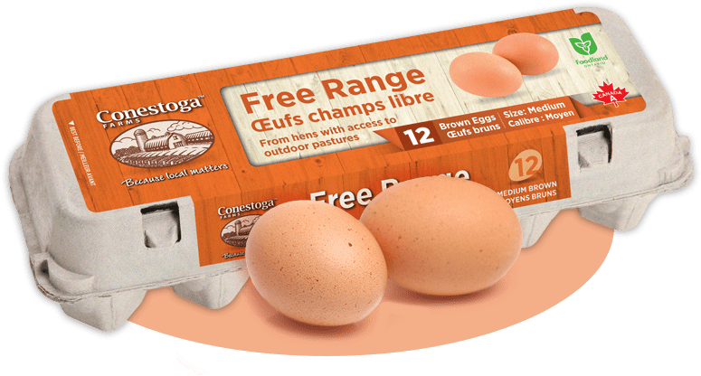 Free Range Eggs - Free Range Eggs Png (800x490), Png Download