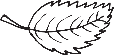 Banner Free Library Leave Drawing Pen - Drawing (500x500), Png Download