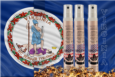 Virginia Flag - Throw Pillow - White - 20x20 - White (400x400), Png Download