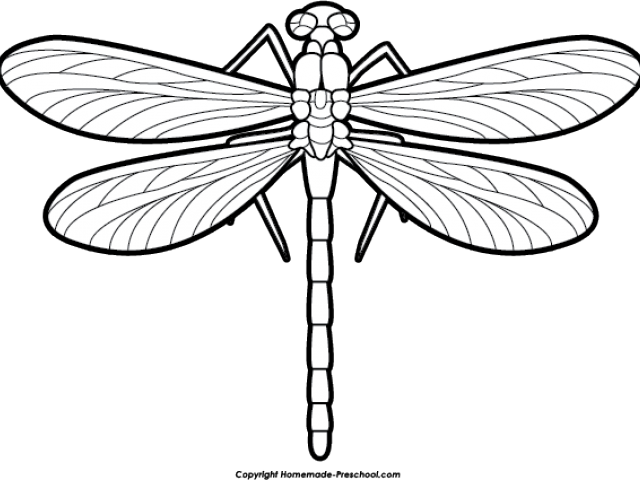 Dragonfly - Clip Art Black And White Dragonfly (577x425), Png Download
