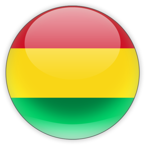 Bolivia Flag Png - Bolivia Flag Icon Png (640x480), Png Download