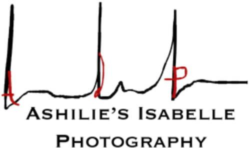 Logo 2 - P Photography (574x350), Png Download