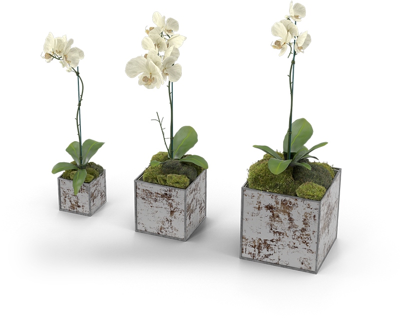 32 Pm 214713 Am 8/20/2017 - Flowerpot (800x800), Png Download